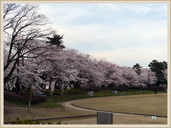 高岡古城公園